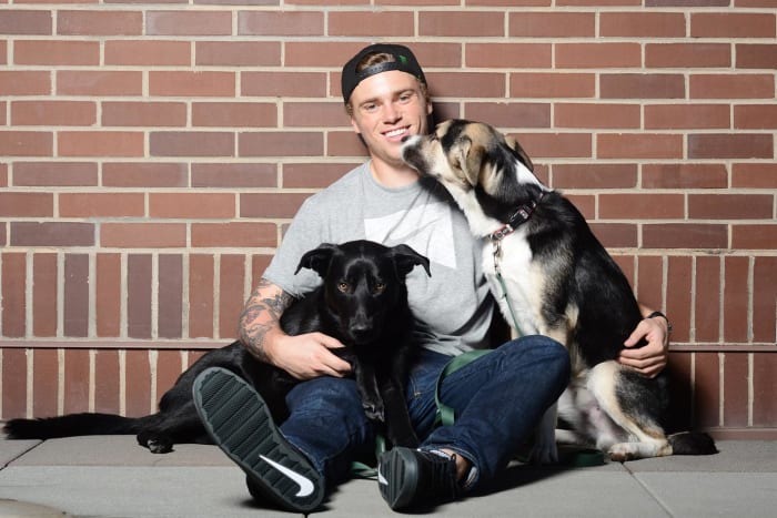 Gus-Kenworthy-Sochi-dogs-Mishka-and-Jake-X158695_TK1_009.jpg